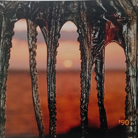 Apartmani Sollei ペトルチャネ エクステリア 写真